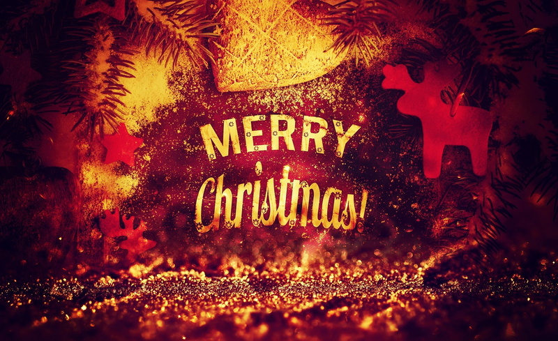 plant, western script, red, night, outdoors, 2014, glowing, merry christmas, Background, close-up, Lights, celebration, backgrounds, pimpyourscreen, information
