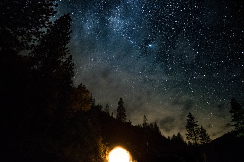 tranquility, stars, yosemite, sky, milky way, low angle view, light, tree, scenics - nature, green, tranquil scene, pine tree, dark, galaxy, camping, tree in darkness