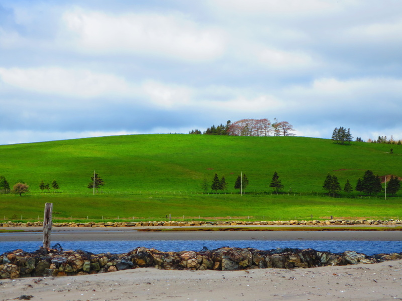 canada, nature, scenics - nature, non-urban scene, cloud - sky, field, green color, land, tranquil scene, hill, plant, 4K, beauty in nature, water, nova scotia