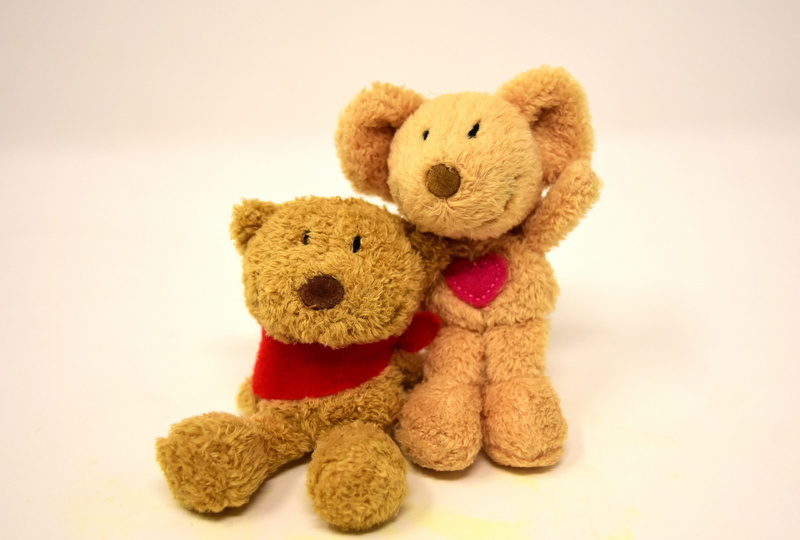 bear, fun, stuffed toy, cuddly, stuffed animal, animal, emotion, stuffed animals, two, studio shot, cute, colored background, teddy, soft toy, close-up