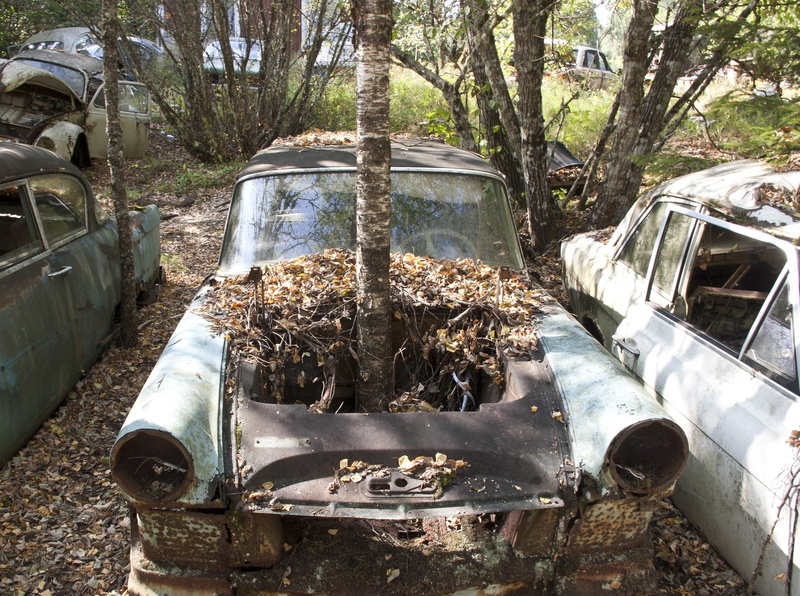abandoned, rust, moss, land vehicle, bad condition, junkyard, 2K, rusty, mode of transportation, car, green, ruined, motor vehicle, scrap Metal, old, run-down