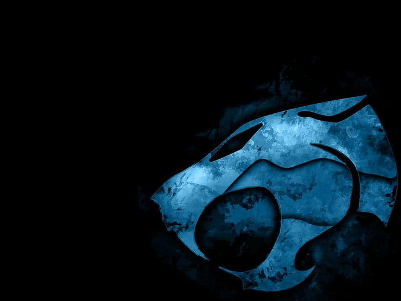 bone, studio shot, indoors, TV Show, darkroom, still life, Thundercats, night, close-up, nature, metal, no people, architecture, 720P, damaged, protection