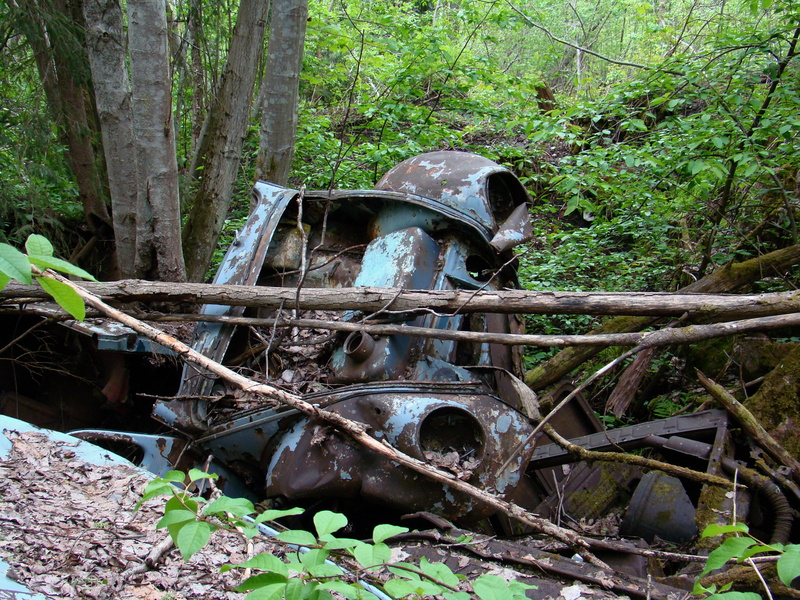 automotive shredder residue, field, run-down, green color, no people, deterioration, decline, mode of transportation, transportation, plant, 2K, obsolete
