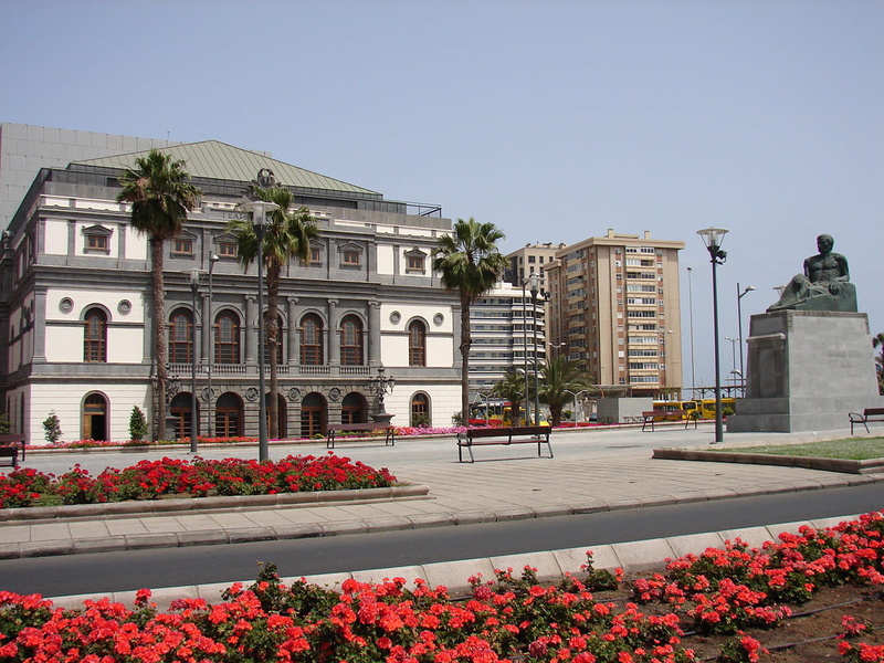 flower, palmas, photos, famous Place, las, travel Locations, day, travel destinations, Las Palmas, architecture And Buildings, building, growth, beauty in nature