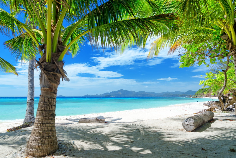 seascape, palm, tranquil Scene, waters Edge, sea, 2K, island, sand, scenics - nature, summer, shore, tropical tree, horizon over water, sunny, bay Of Water