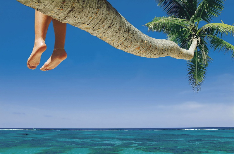 palm tree, tree trunk, mood, nature, s, feet, sea, HD, summer, one person, girl, widescreen, land, full screen, beach, outdoors, water, coconut palm tree