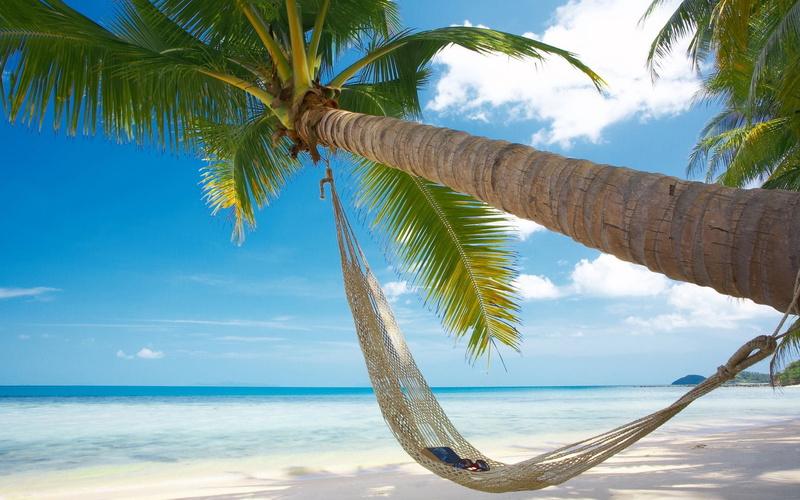 sunlight, lagoon, vacation, horizon, horizon over water, tropical Climate, hammock, coastline, scenics, travel, plant, tropical tree, tranquil Scene, outdoors