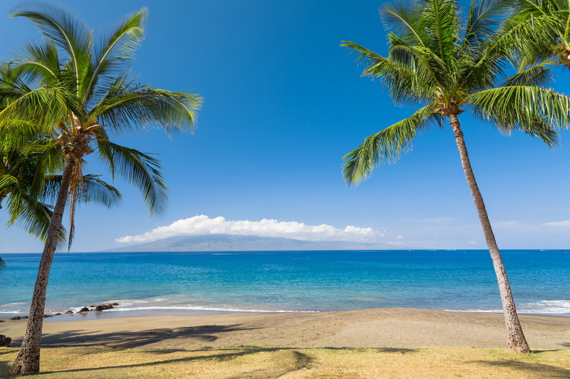 5K, tropics, ocean, palma, coast, nature, sand, hawaii, sea
