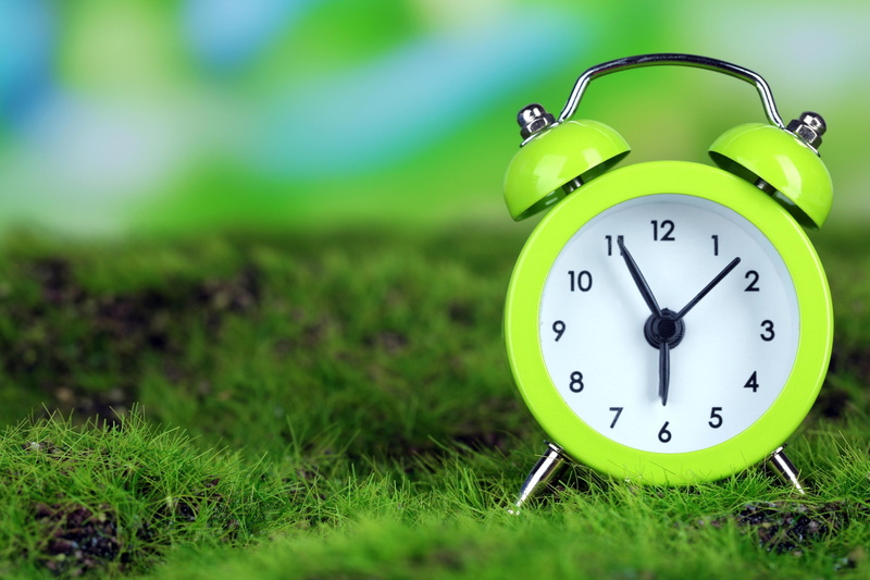 copy space, clock face, instrument of time, close-up, morning, alarm clock, no people, plant, clock, green color, time, waking up, watch, number, outdoors