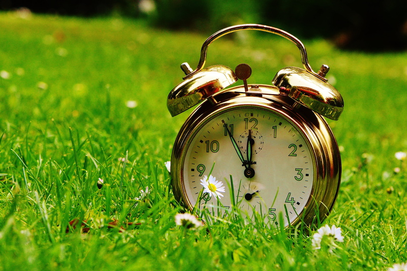 minute hand, old-fashioned, nature, instrument of time, hours, pointer, ring the bell, antique, flowers, grass, selective focus, clock face, ring, green Color