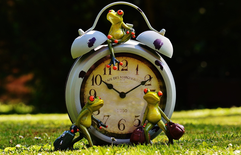 frogs, close, laugh, gray, farewell, travel, focus on foreground, hour, accuracy, meadow, 5K, holiday, art and craft, art stone, time, fun, on the go