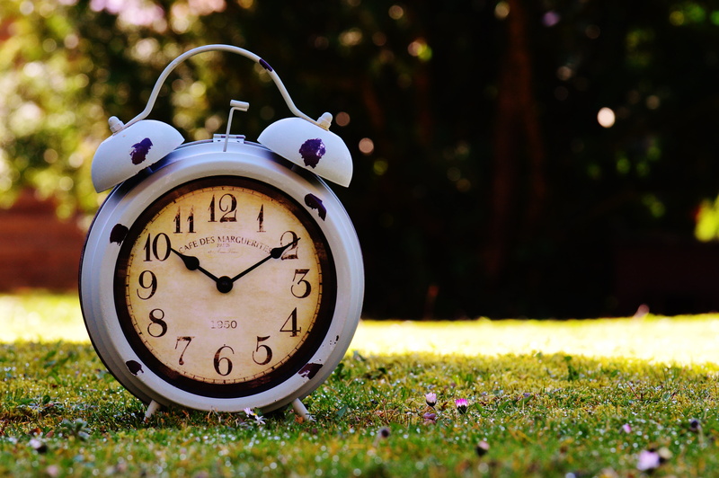 day, selective focus, old, grass, relaxation, antique, plant, clock, analog, focus on foreground, metal, dial, nature, alarm, time of, close-up, field