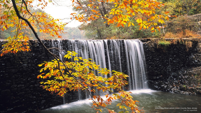 county, Fall, 2K, jersey, watchung, new, reservation, union
