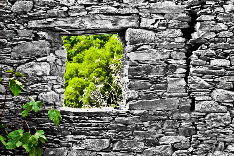 old, rock - object, bricklaying, nature, architecture, wall, green color, outdoors, rock, wall - building feature, plant, rough, stone wall, solid, tree