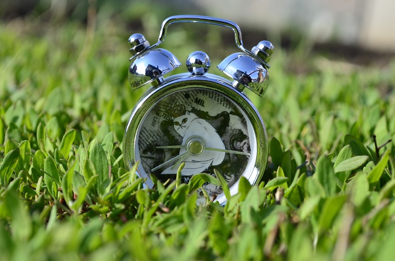 selective focus, accuracy, clockwork, retro styled, clock face, watch, arrows, dial, green color, morning, closeup, field, outdoors, day, silver colored