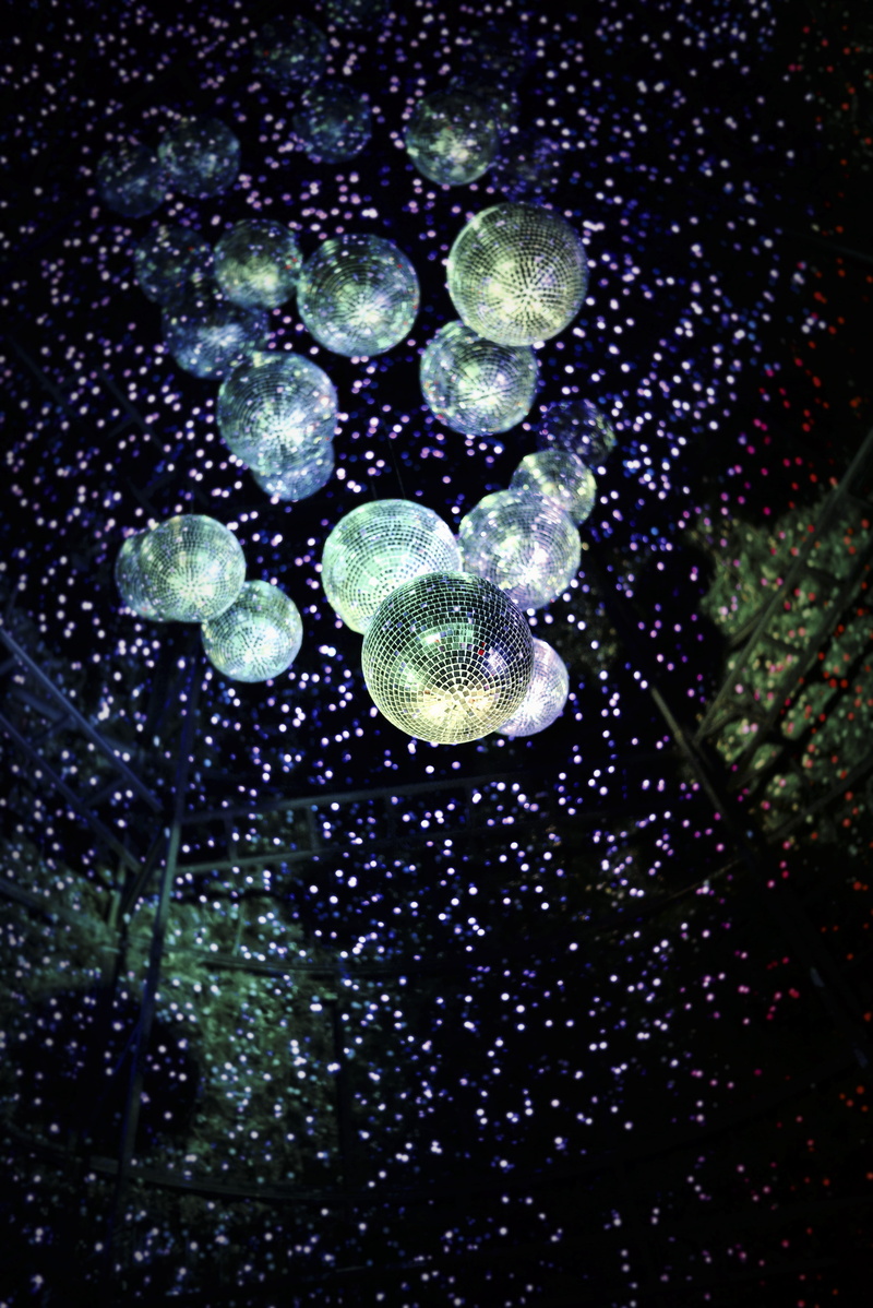 bubble, animal wildlife, gray, animals in the wild, drop, suspended, beauty in nature, animal, close-up, rain, middle, balls, raindrop, frame, bokeh, room