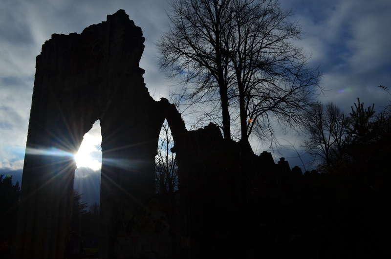 low angle view, architecture, york, landscape, 4K, back lit, sunlight, ruins, plant, silhouette, sunbeam, nature, tranquility, no people, lens flare, built structure