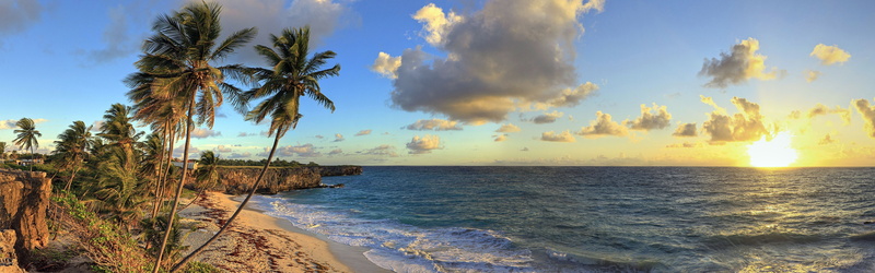 beach, sunset, sky, land, cloud - sky, coast, tranquility, sun, horizon over water, tropical tree, horizon, panoramic, water, idyllic, tree, beauty in nature