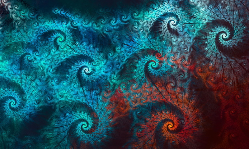 close-up, sea life, animal themes, abstract, animals in the wild, animal wildlife, magnification, peacock, colors, multi Colored, backdrop, elegance, ornate