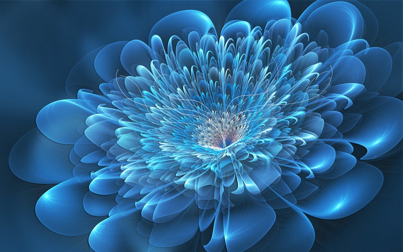 petaled, motion, backdrop, design, illustration, connection, fractal, three Dimensional, biology, concepts, black background, sea, fantasy, water, fragility