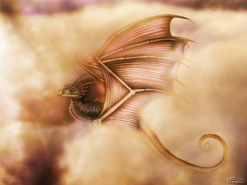 dragon, marine, close-up, animal, one animal, sea life, animal body part, nature, macro, undersea, animal eye, poisonous, vertebrate, sea, underwater, animal themes