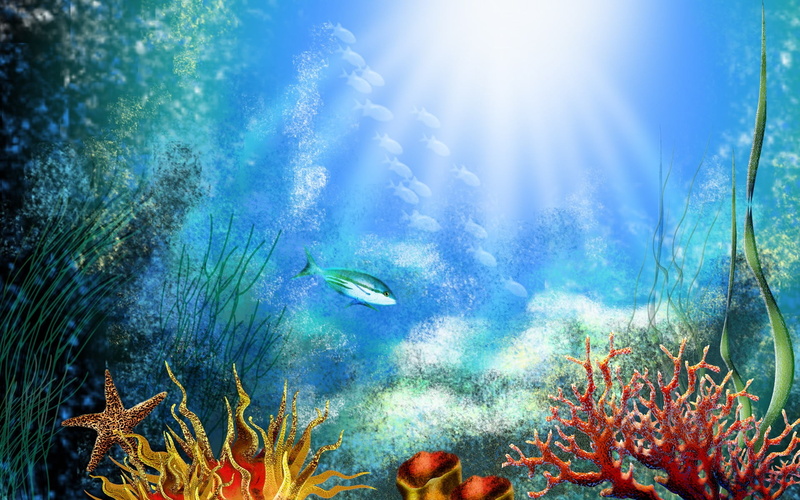 school of fish, fish, multi Colored, illustration, wildlife, backgrounds, sea, deep, animal, swimming, aquatic, group of animals, animals In The Wild, animal wildlife