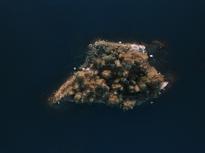 eye, sea life, birds, no people, one animal, nature, animals in the wild, bubble, island, water, fish, sea, tree, photography, underwater, invertebrate