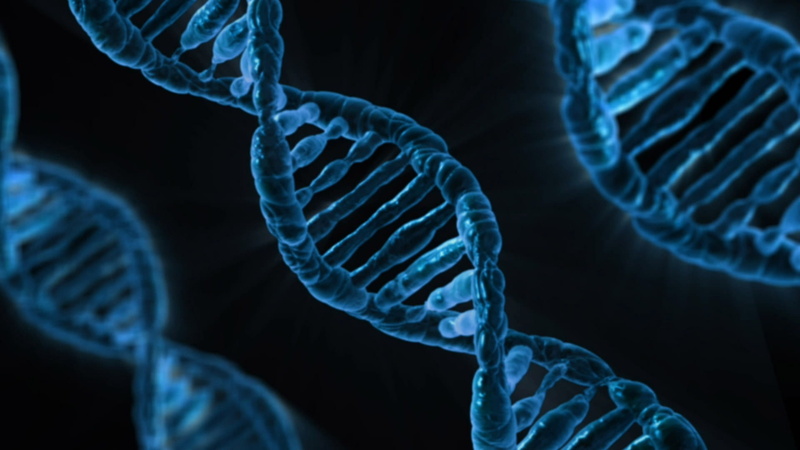 science, gene, fish, one animal, blue, building, biology, medical, underwater, sea life, no people, nature, animal themes, 1080P, bird, sea, invertebrate