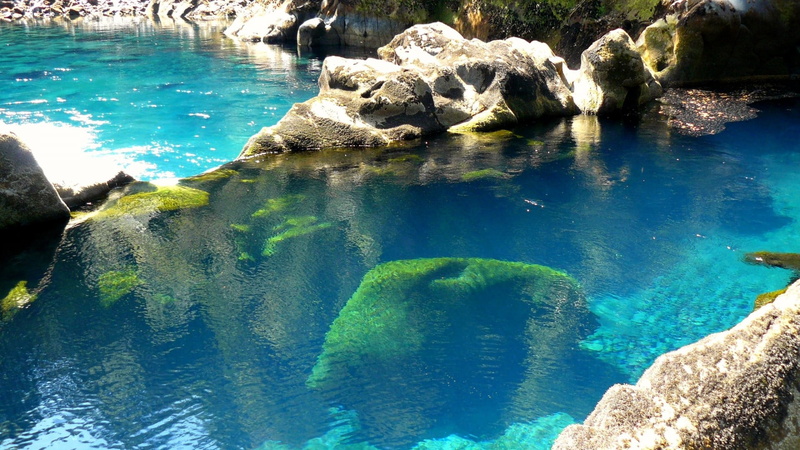 rippled, reef, underwater, colorful, 1080P, aquatic, beauty in nature, saltwater, bubbles, swimming pool, scuba, dive, beach, outdoors, nature, deep, scenics - nature