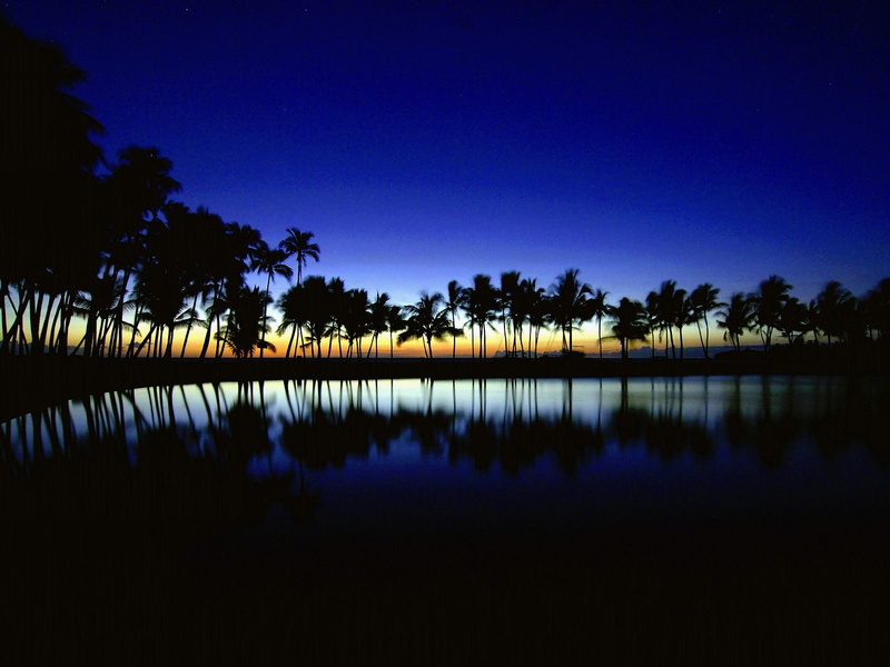 hd, travel and world, island, travel, 720P, world, silhouette, hawaii, palm, big