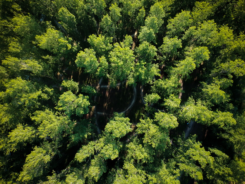 land, aerial, green, nature, 4K, plant, high angle view, lush foliage, no people, tree, portugal, growth, tranquil scene, dji, green color, beauty in nature