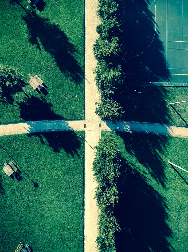 drone, sunlight, portugal, green color, drone capture, tree, nature, aerial view, scenics - nature, trees, growth, day, tranquil scene, water, swimming pool