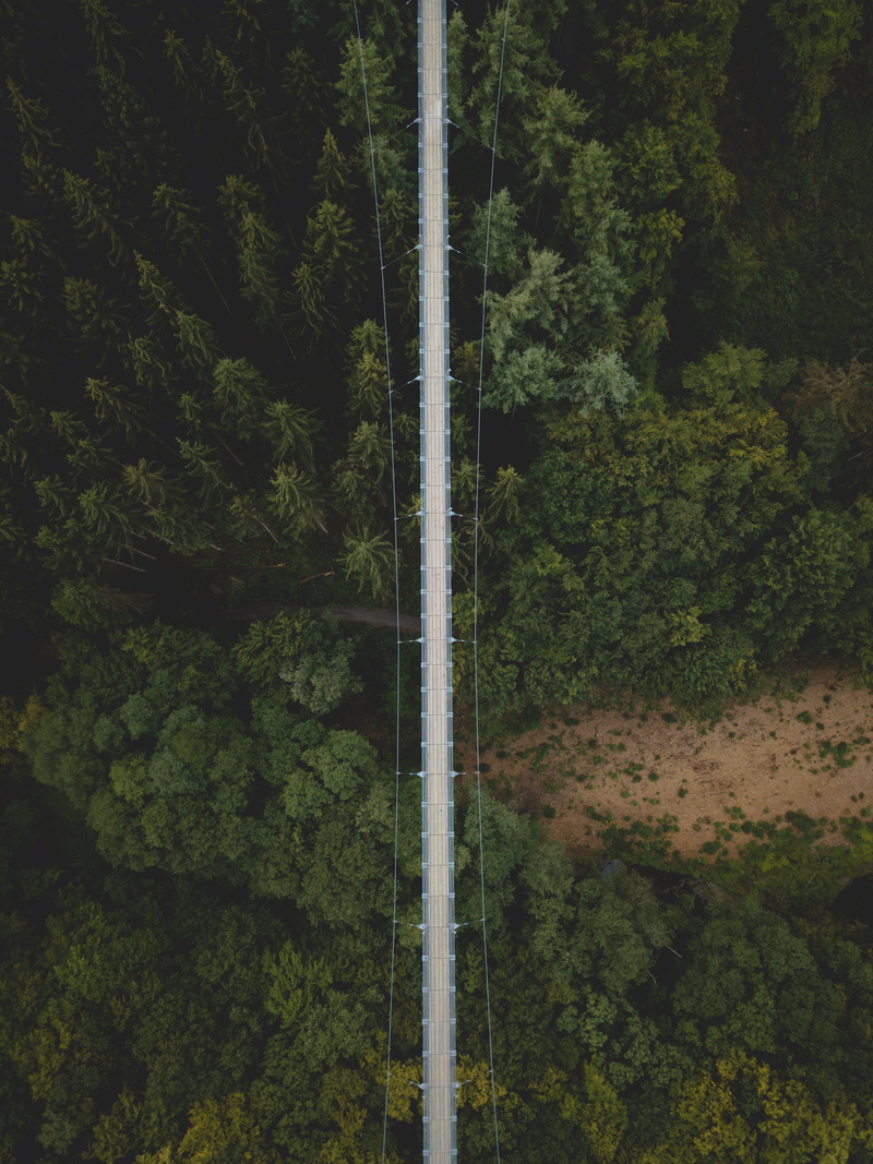 environment, summer, sky, hiking, aerial, photo, bridge, suspension bridge, aerial view, forest, dirt path, leafed, no People, scenics, wood, landscape