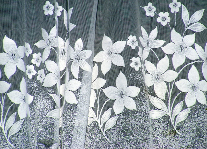 fragility, inflorescence, vulnerability, flower head, window, flower, close-up, growth, 720P, floral pattern, day, petal, print, outdoors, high angle view