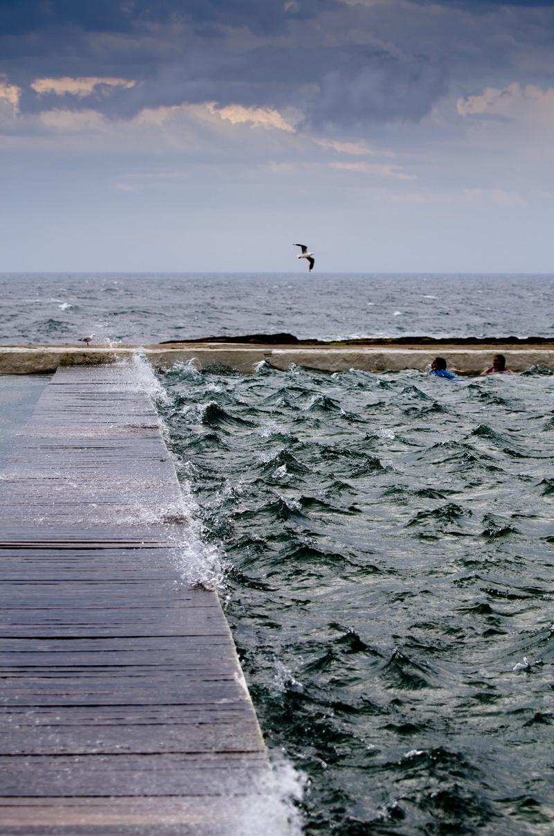 horizon, flying, water, animal themes, platform, choppy, animal wildlife, horizon over water, nature, storm seagull, animals in the wild, baths, marine