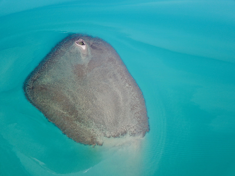 ocean, animal, mavicpro, dji, tropical Climate, large, underwater, photography, aquatic Mammal, explore, island, aerial view, blue, summer, scuba Diving