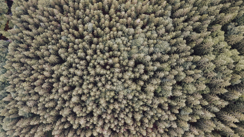 wool, rug, tree, djimavicpro, mavicpro, plant, winter, pattern, still life, knitted, conifer, textured, ground, art and craft, full frame, indoors, czech republic