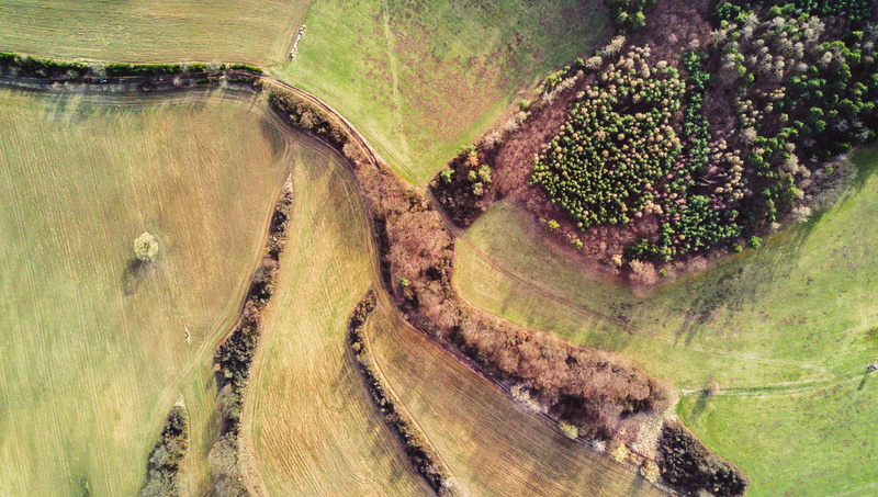 plant, land, non-urban scene, mavic, growth, drone, photography, no people, tranquil scene, dji, environment, scenics - nature, drone shot, farm, rural