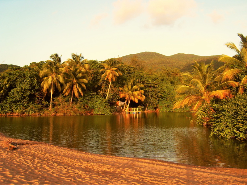 nature, water, sandy beach, non-urban scene, travel, growth, beauty in nature, holiday, mountain, caribbean, reflection, coconut palm tree, tropical climate