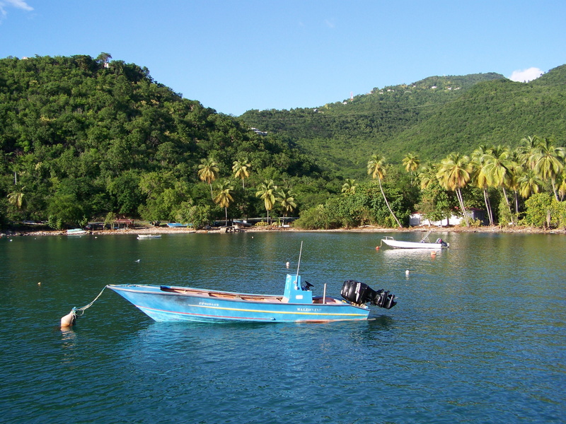 cove boat, non-urban scene, nautical vessel, exotic, growth, tree, boiling, island, tropic, caribbean sea, guadeloupe, mountain, water, scenics - nature