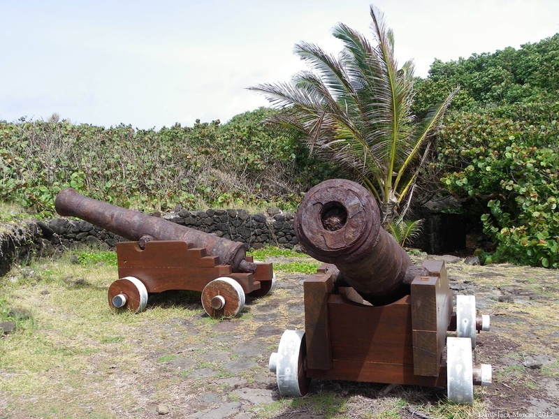 plant, no people, 1080P, cannon, island, architecture, military, war, tree, metal, rusty, outdoors, sea defense, cannons, fighting, battle, history, weapon