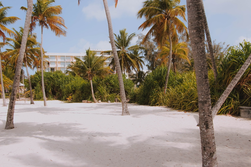 day, water, building, ocean, beauty in nature, beach, tranquil scene, nature, near, sunlight, tropical tree, garden, guadeloupe, no people, sea, island
