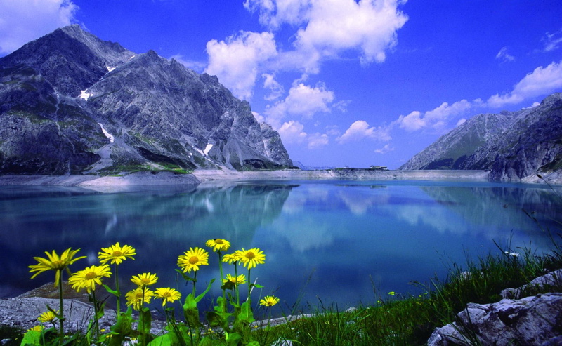 calmness, rocks, clear, shore, nature, peaks, 1080P, mirrored, serenity, lake, tranquil, blue, crystal, flowers