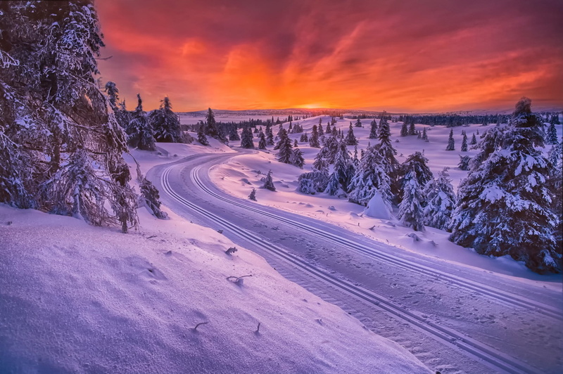 1080P, non-urban scene, dusk, snow, environment, road, winter, Norway, no people, beauty in nature, landscape, pine tree, cold temperature, scenics - nature