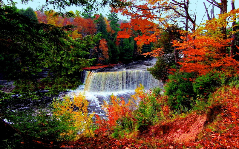 fall, nature, autumn, 1080P, Water, Forest, 1920x1200, tree, Waterfall, hd wallpaers of nature, river