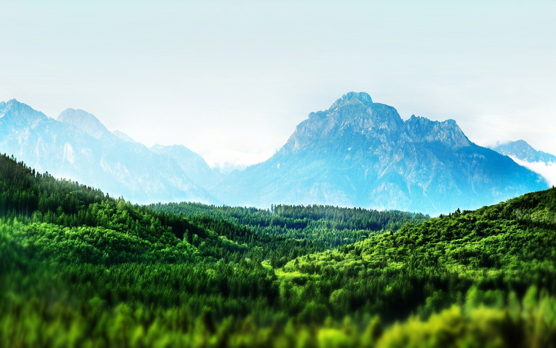 landscape, plant, green, beauty in nature, day, scenics - nature, land, tranquility, wallpaer, forest, outdoors, mountain peak, non-urban scene, field