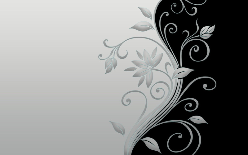 abstract, curled Up, plant part, shape, minimal, decor, scroll Shape, pattern, design, drawing - art product, creativity, black Color, 1080P