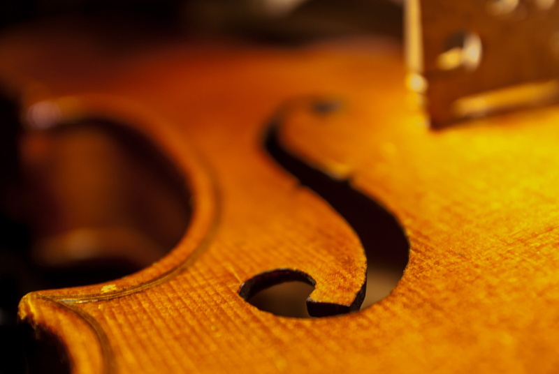 cello, violin, DECA, 1080P, macro