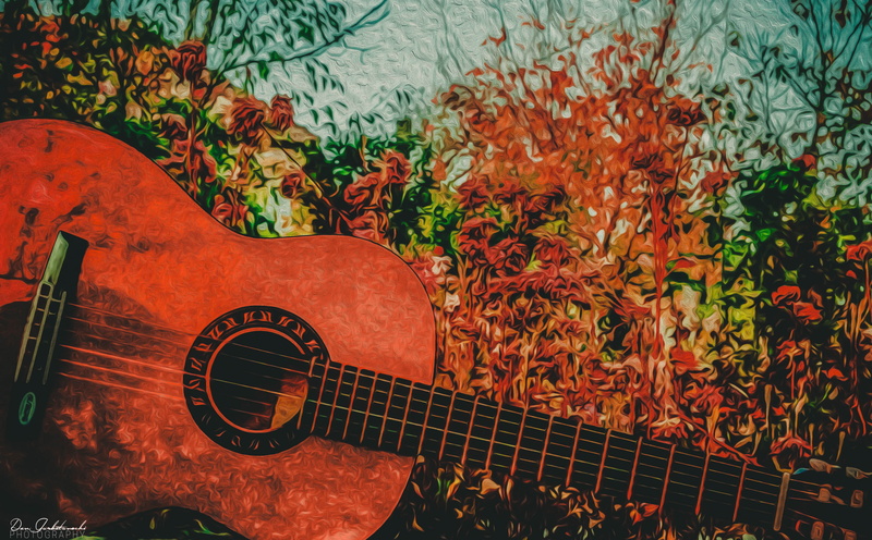 Autumn, one, leaf, beige, Artistic, musical instrument, string, day, plucking an instrument, bad, Guitar, classical, field, Fall, high angle view, string instrument