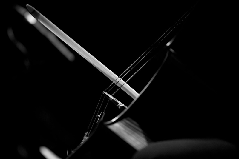 arts culture and entertainment, string instrument, acoustic guitar, music, guitar, bow, human body part, black background, bow - musical equipment, plucking an instrument